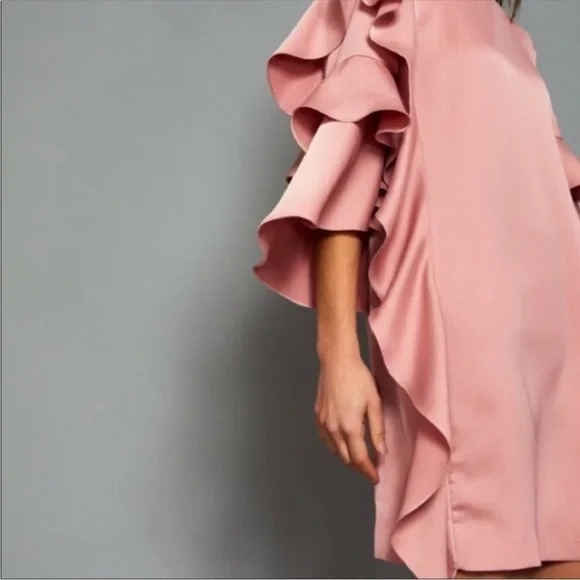 Ted Baker Pink Eicio Ruffle Ruffle Tunic Dress - Picture 7 of 15